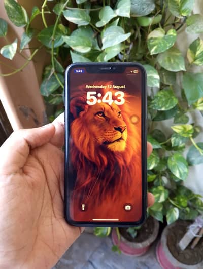 Apple iPhone XR JV hai