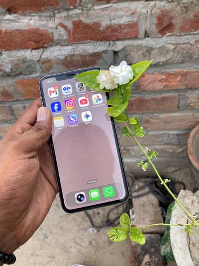 Apple iPhone 11 Pro Max