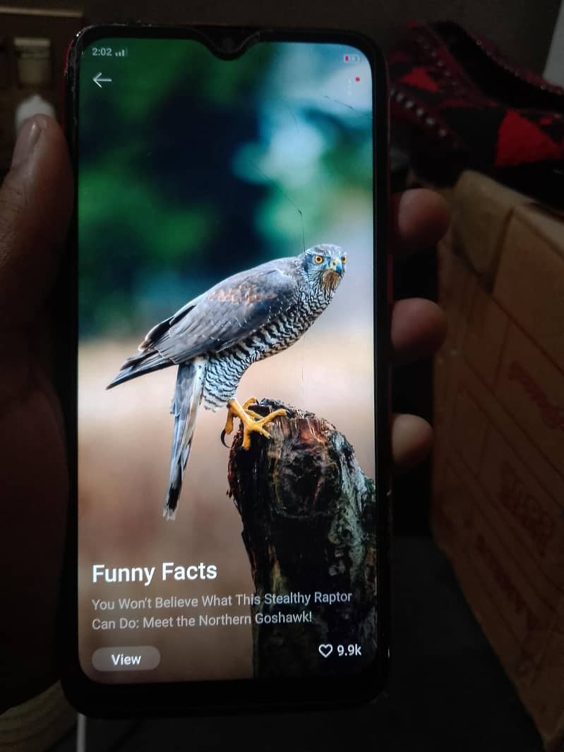 OPPO A1k 3