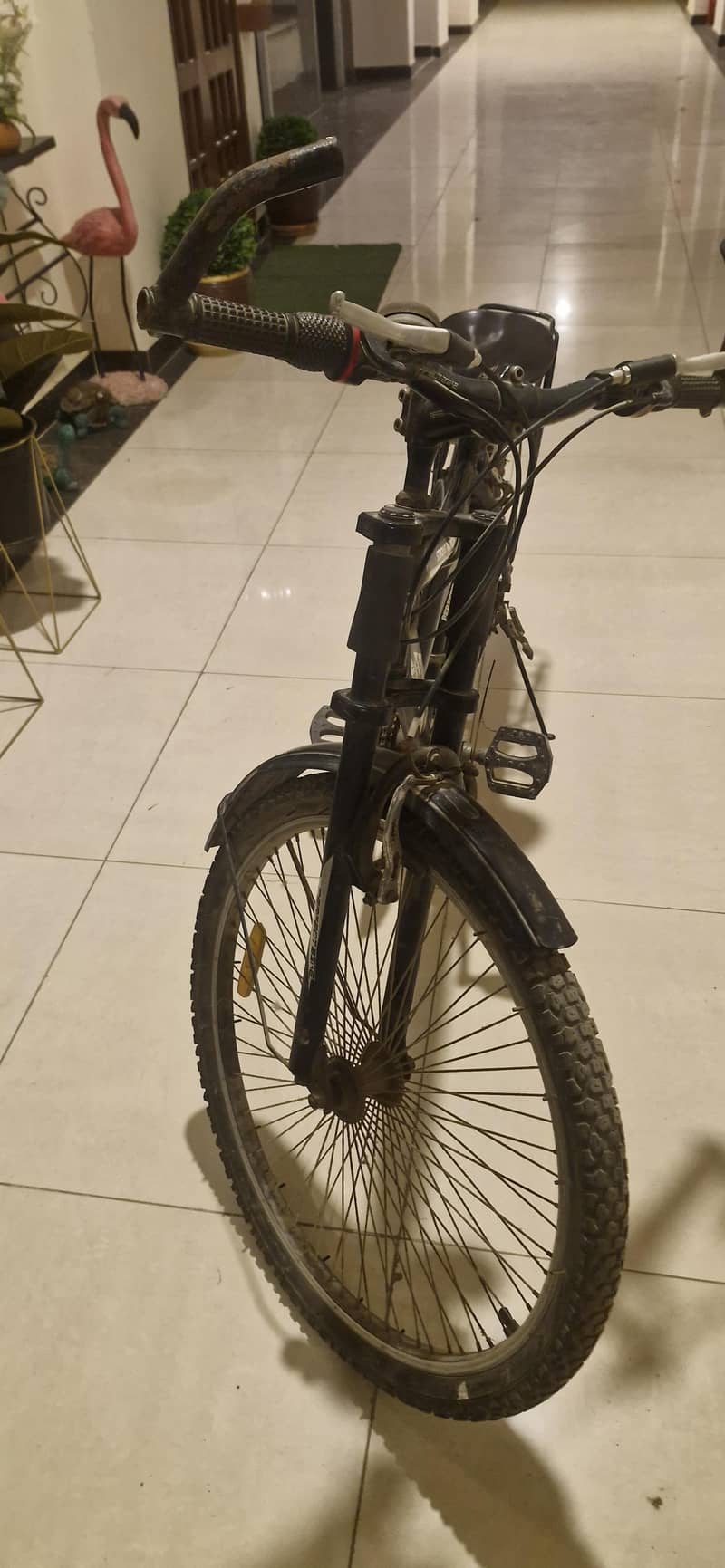 bicycle 3