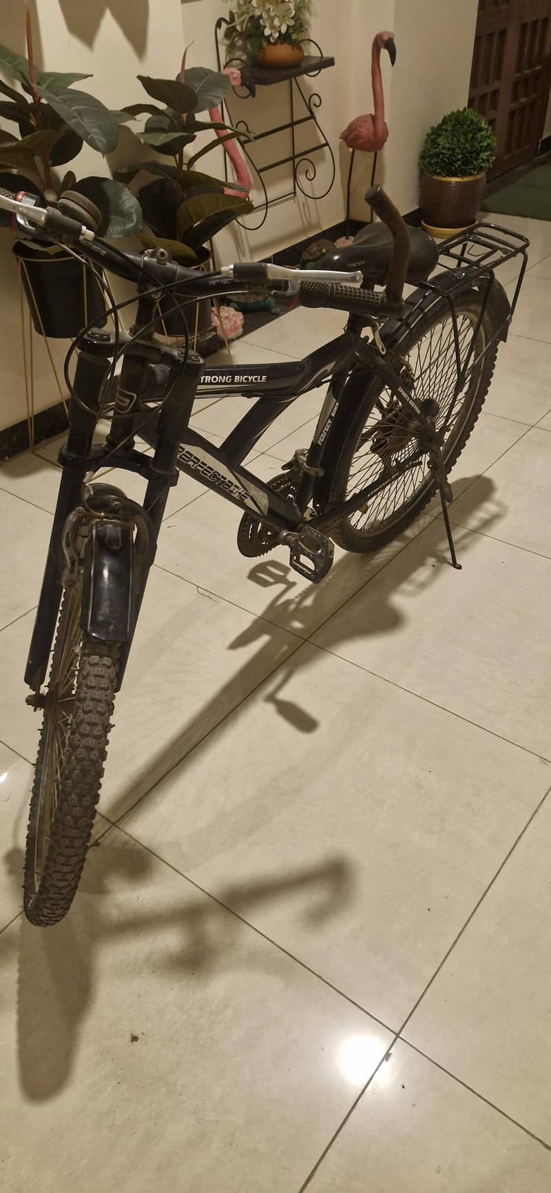 bicycle 4