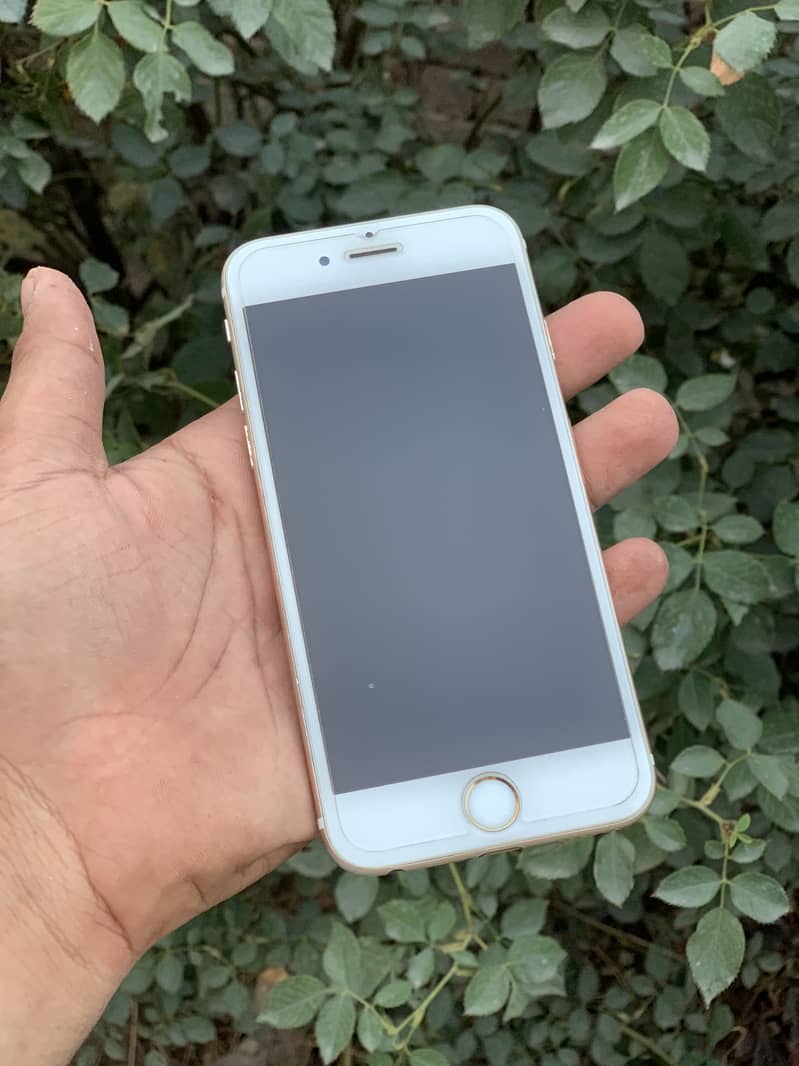 Apple iPhone 6 0
