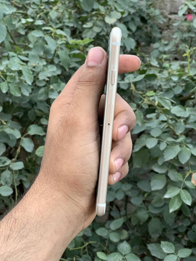 Apple iPhone 6 4