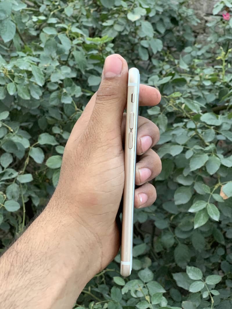 Apple iPhone 6 6