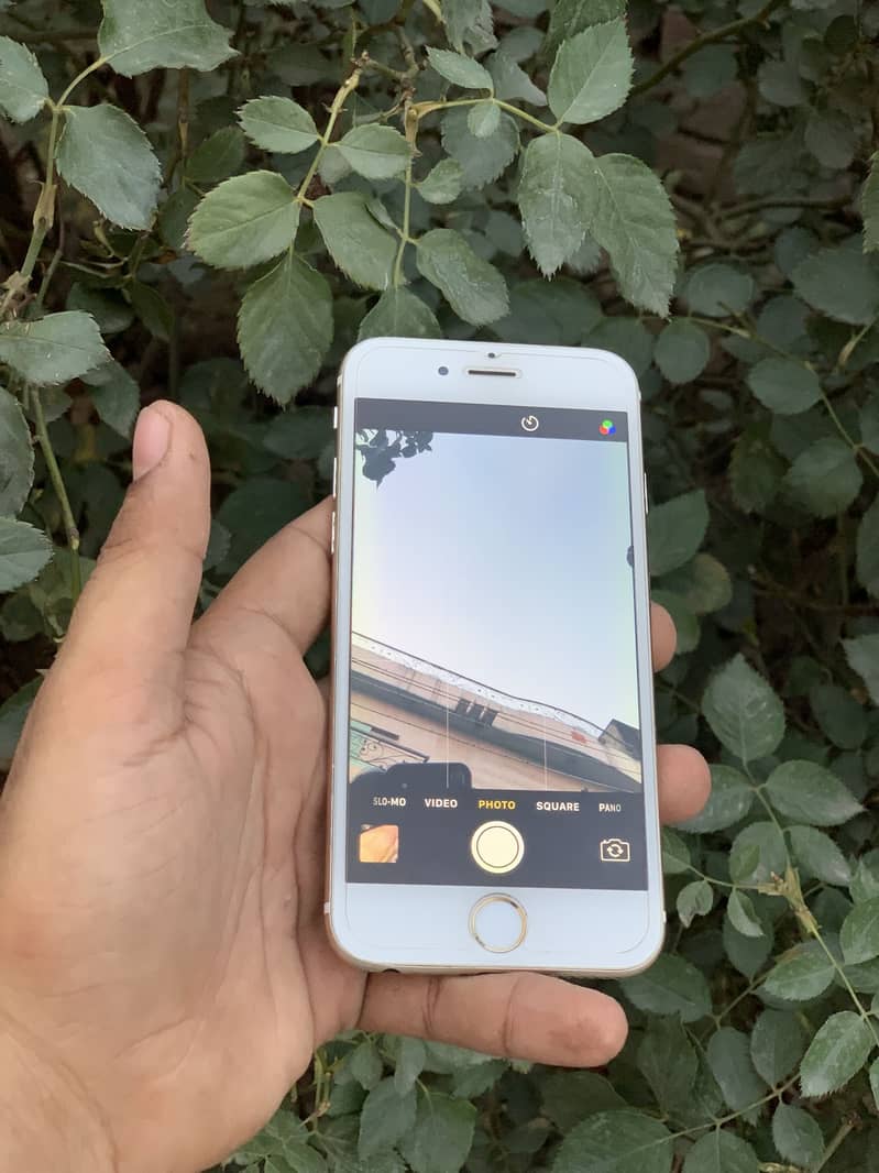 Apple iPhone 6 9