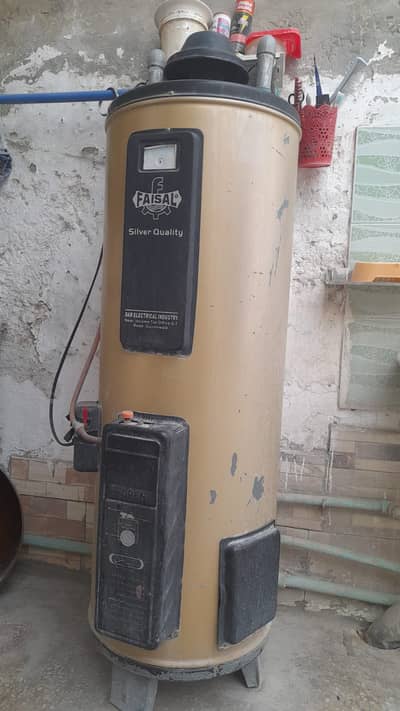 Gesayer Gass/Electric dual