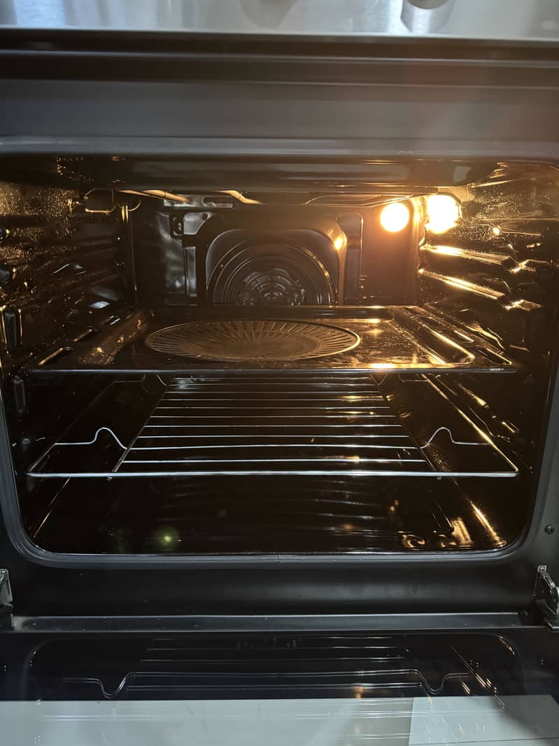 Rays Built in Oven 2