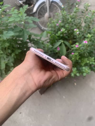 Apple iPhone 7 plus offical pta 256 gb