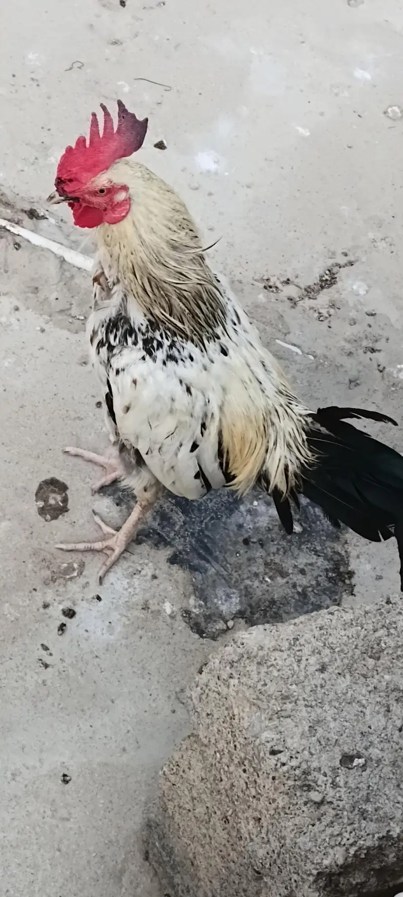urgent sell — photo 4