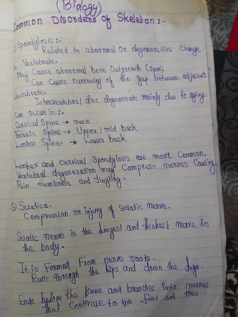 Handwriting 0
