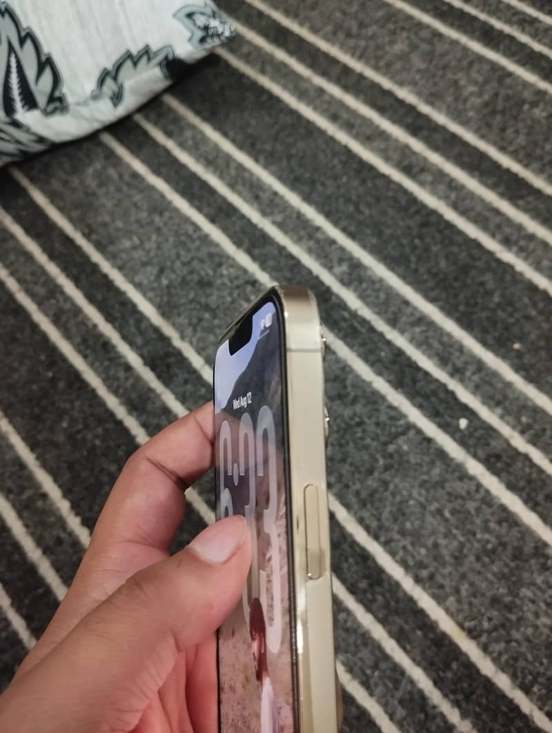 iphone 13 pro max 12