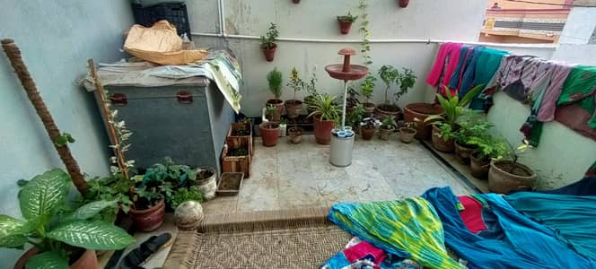 plant  pots /0/3/1/5/2/3/3/0/6/2/0