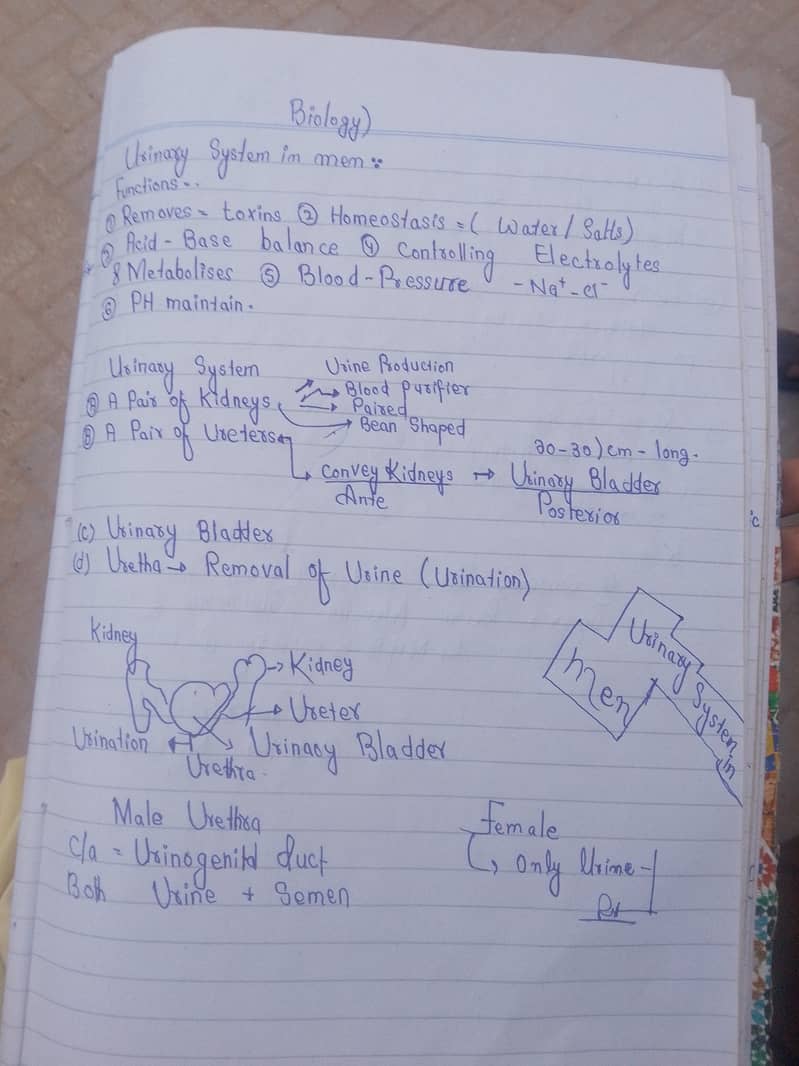 Handwriting 0
