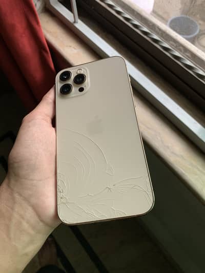 Apple iPhone 12 Pro Max