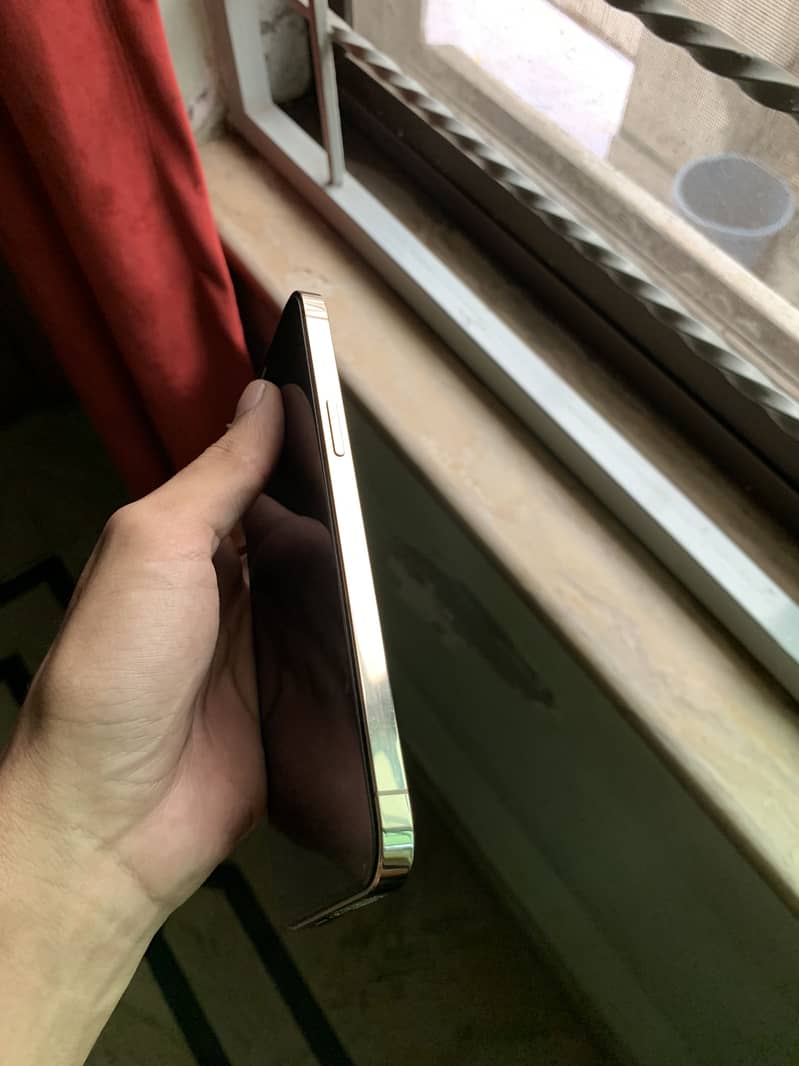 Apple iPhone 12 Pro Max 1