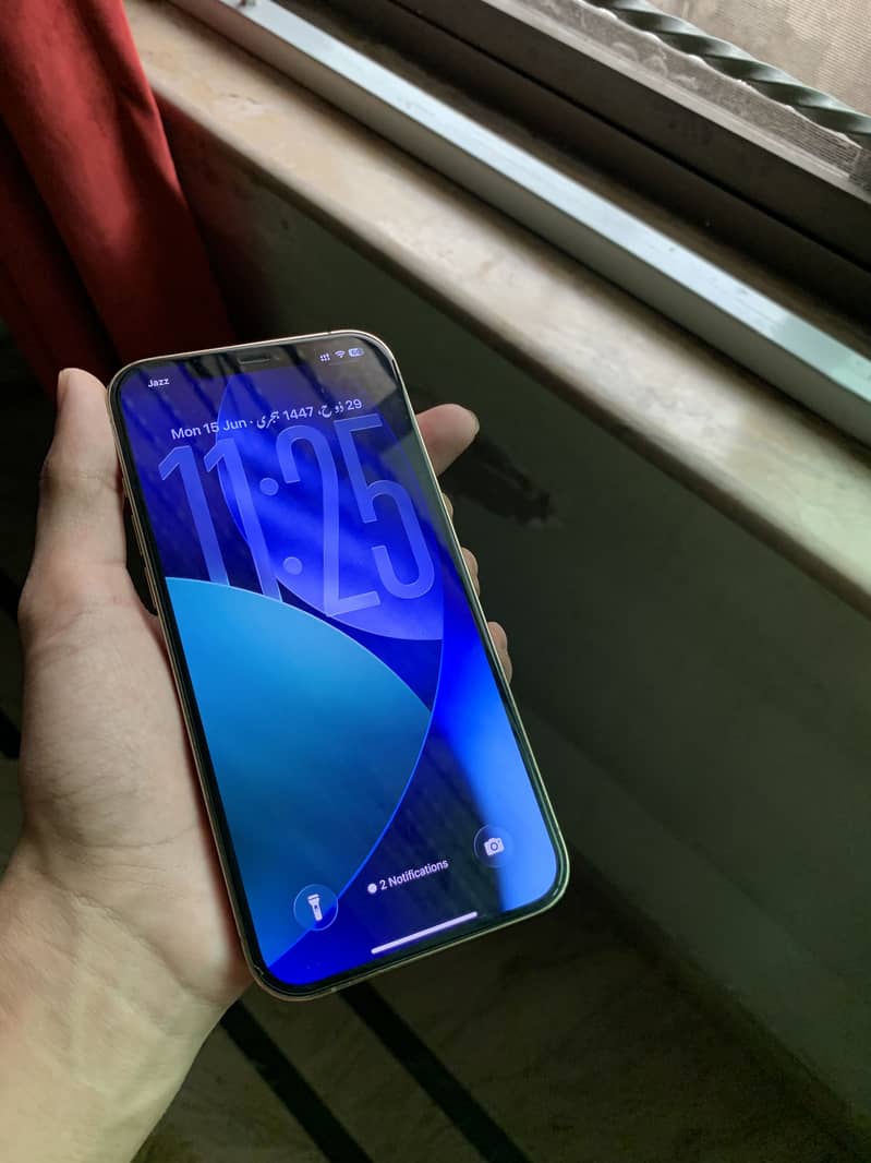 Apple iPhone 12 Pro Max 2