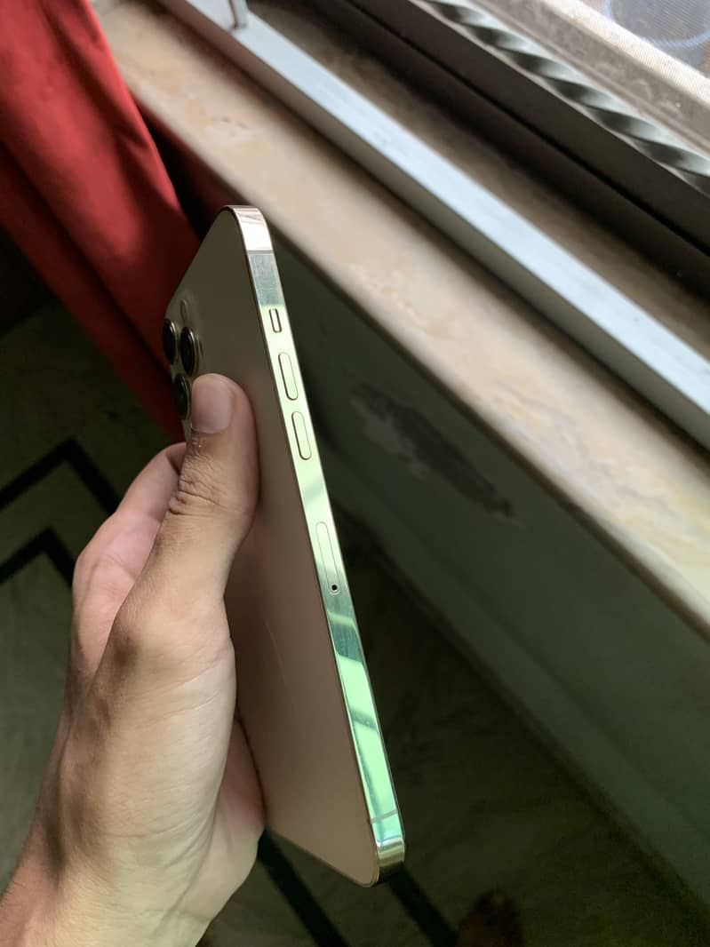 Apple iPhone 12 Pro Max 3