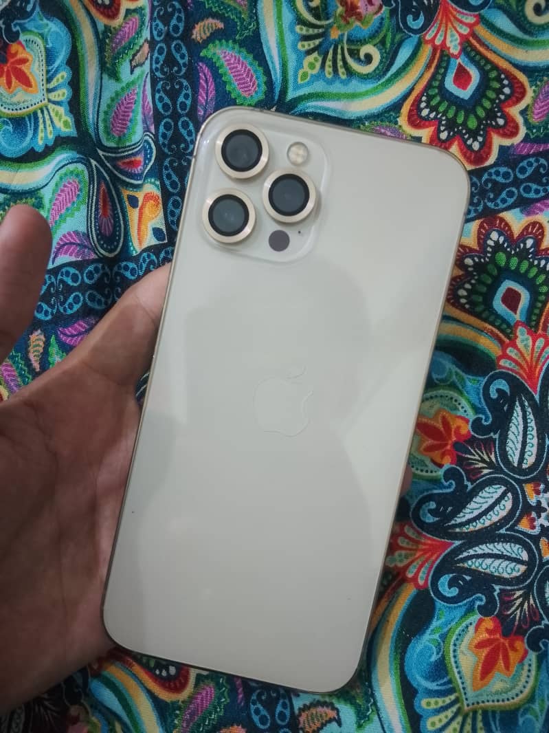 Apple iPhone 12 Pro Max 1