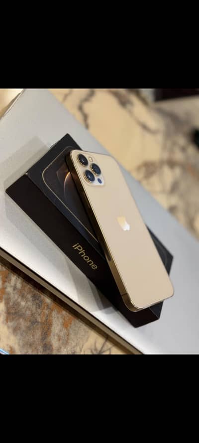 12 Pro Max