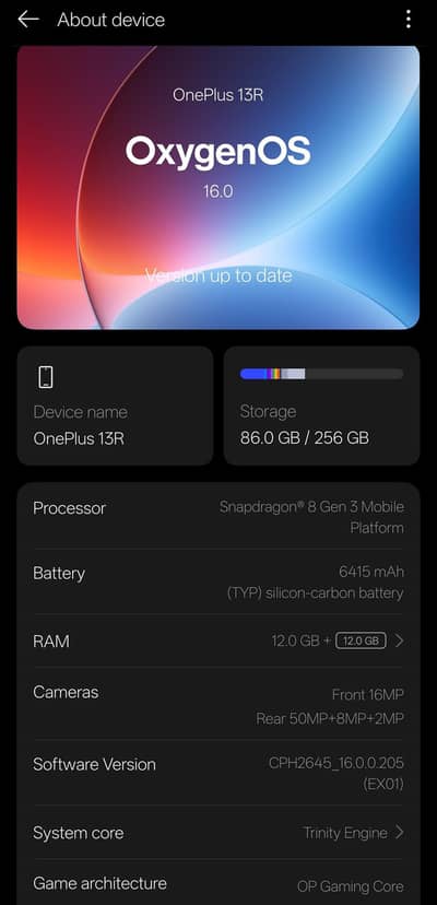 One Plus 13R