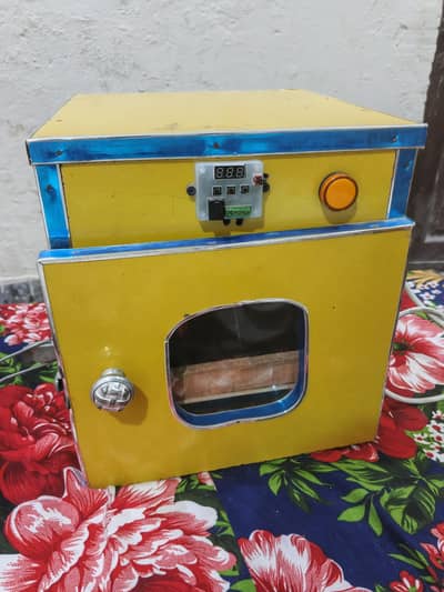 Egg Incubator