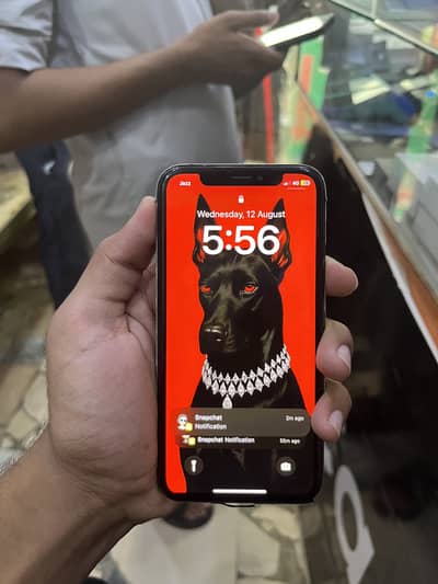 Apple iPhone X 256 Gb pta