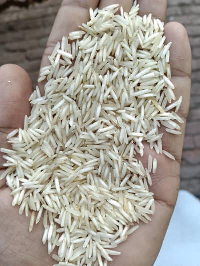 Kainat steam Rice Lahore