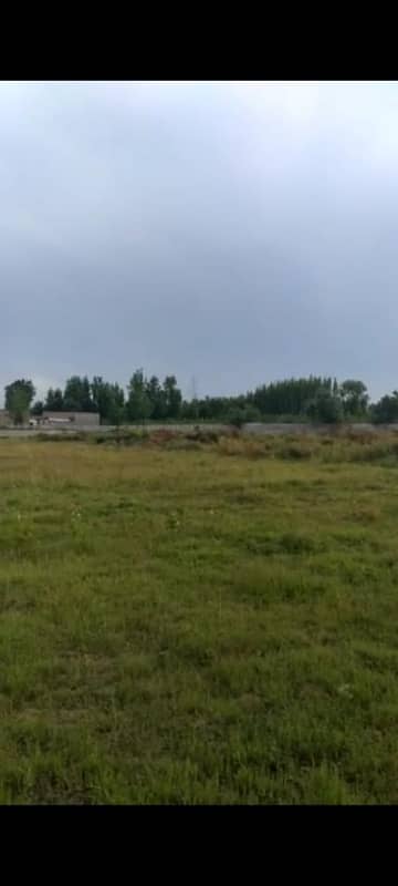 Top Of The Commercial Plot For Sale Location Taru Jabba Pasrur