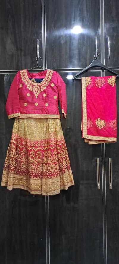 embroidered lehnga