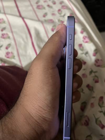 Apple iPhone 12 Official