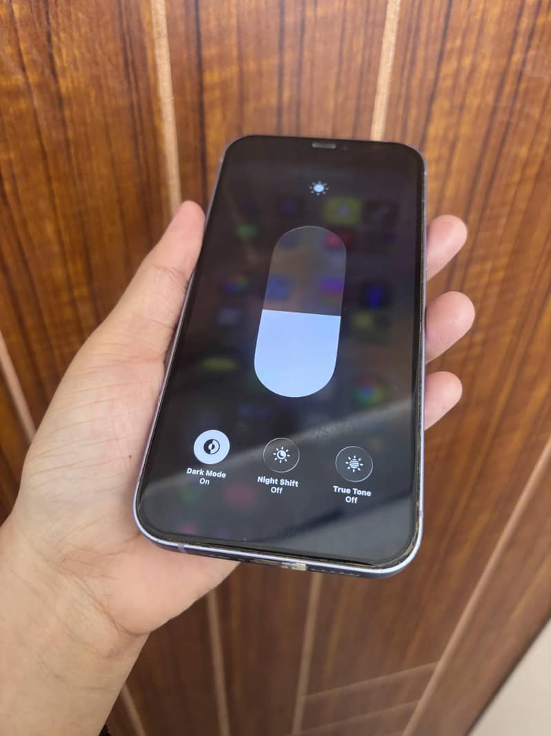 Apple iPhone 12 1