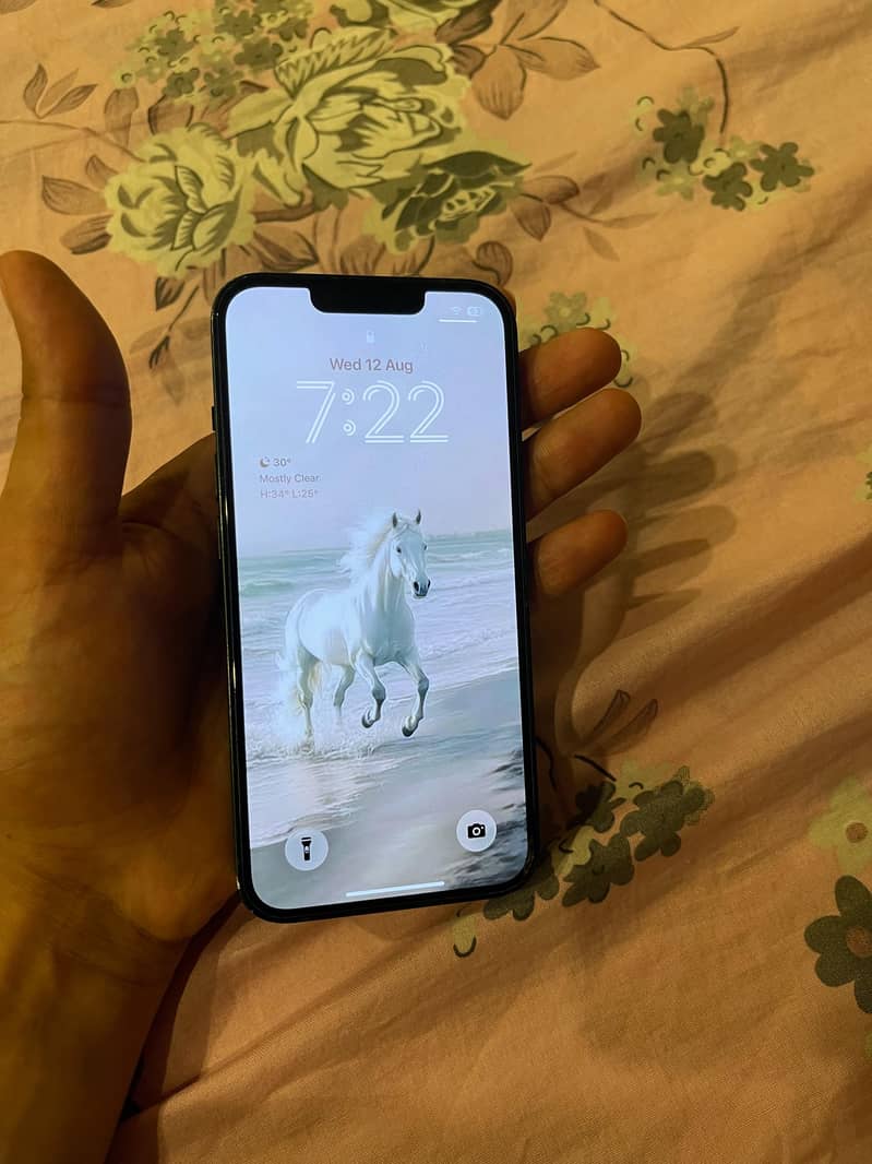 Apple iPhone 13 2