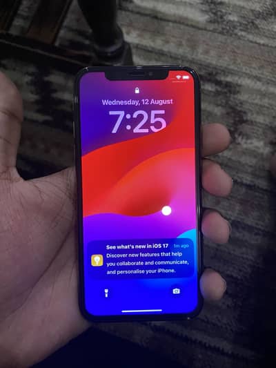 Apple iPhone XS
