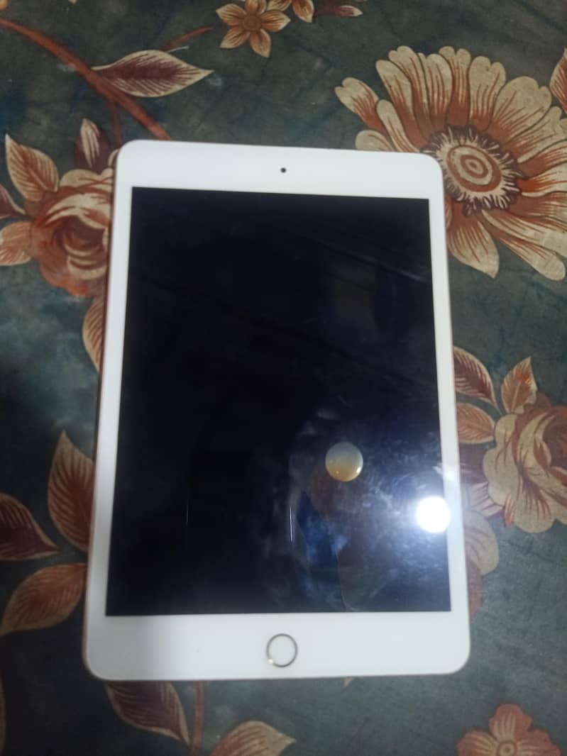 iPad mini 5 1