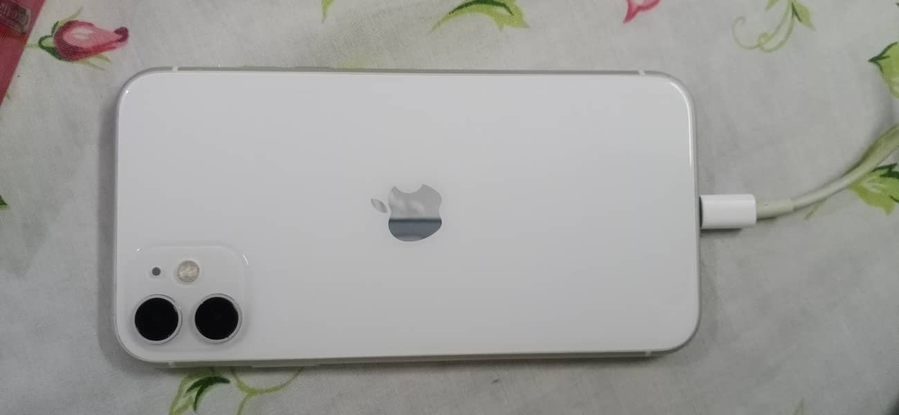 Apple iPhone 11 0