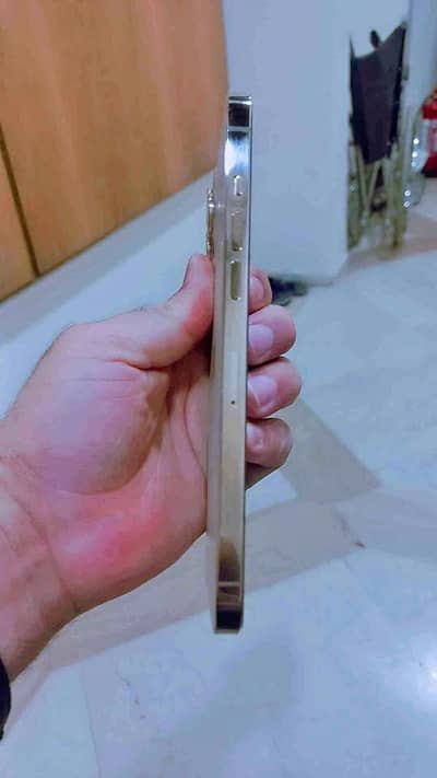 Apple iPhone 12 Pro Max