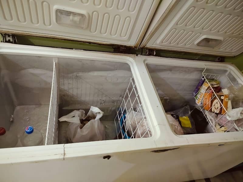 waves deep freezer 1