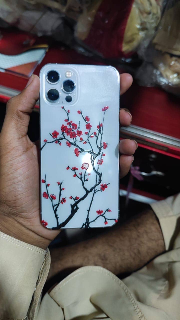 Apple iPhone 12 Pro 1