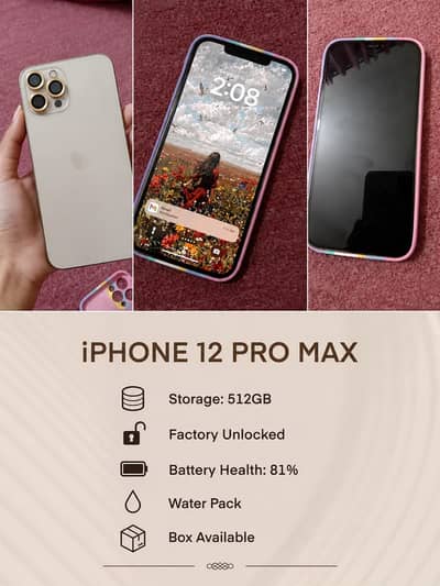 Apple iPhone 12 Pro Max