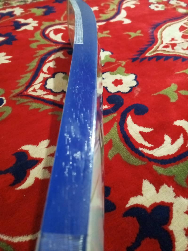 Cricket Bat 2