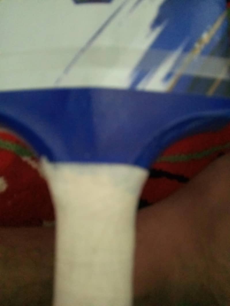 Cricket Bat 4