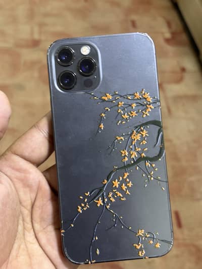 Apple iPhone 12 Pro PTA approved