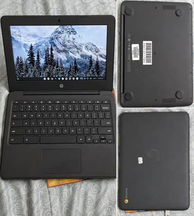 hp chromebook