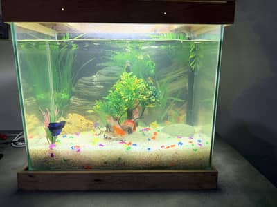 Aquarium is for sale.