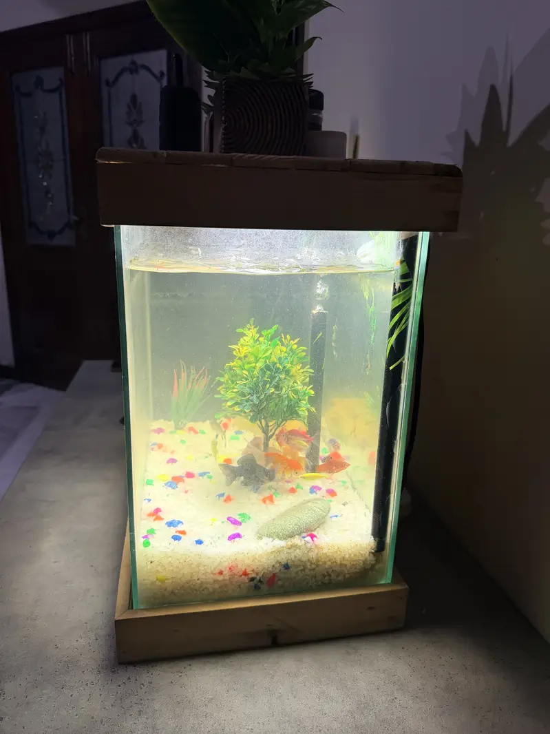 Aquarium is for sale. — photo 2