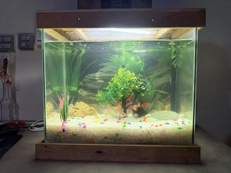 Aquarium is for sale. — photo 3