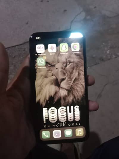 Apple iPhone X