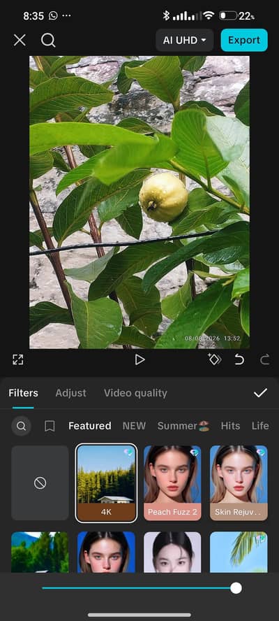 Capcut pro , Mobile + PC without Vpn