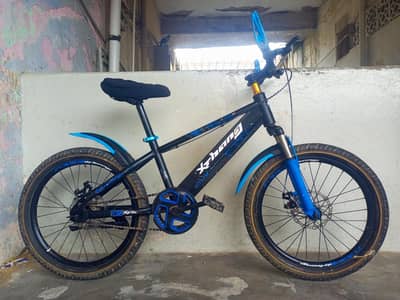 20 size imported bicycle 033/0371/8656 fix price 12500