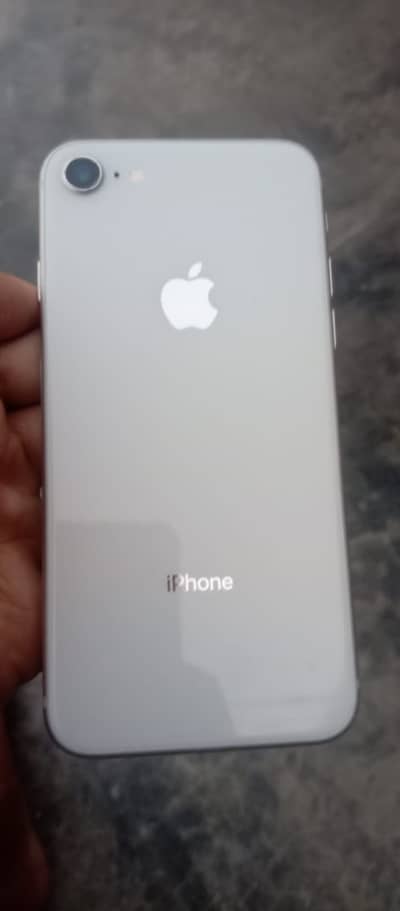 I phone 8